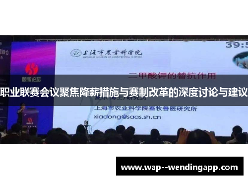 职业联赛会议聚焦降薪措施与赛制改革的深度讨论与建议 职业联赛会议聚焦降薪措施与赛制改革的深度讨论与建议