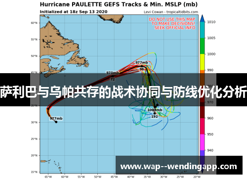 萨利巴与乌帕共存的战术协同与防线优化分析 萨利巴与乌帕共存的战术协同与防线优化分析