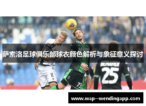 萨索洛足球俱乐部球衣颜色解析与象征意义探讨