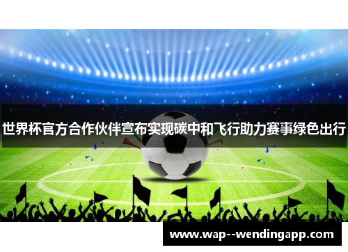 世界杯官方合作伙伴宣布实现碳中和飞行助力赛事绿色出行