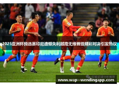 2025亚洲杯预选赛印尼遗憾失利越南无缘晋级精彩对决引发热议