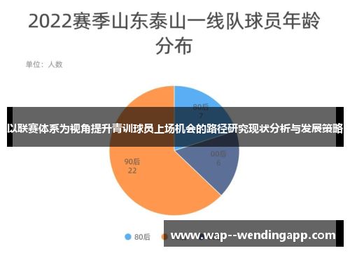 以联赛体系为视角提升青训球员上场机会的路径研究现状分析与发展策略