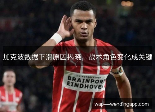 加克波数据下滑原因揭晓，战术角色变化成关键